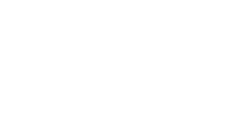 Disability confident