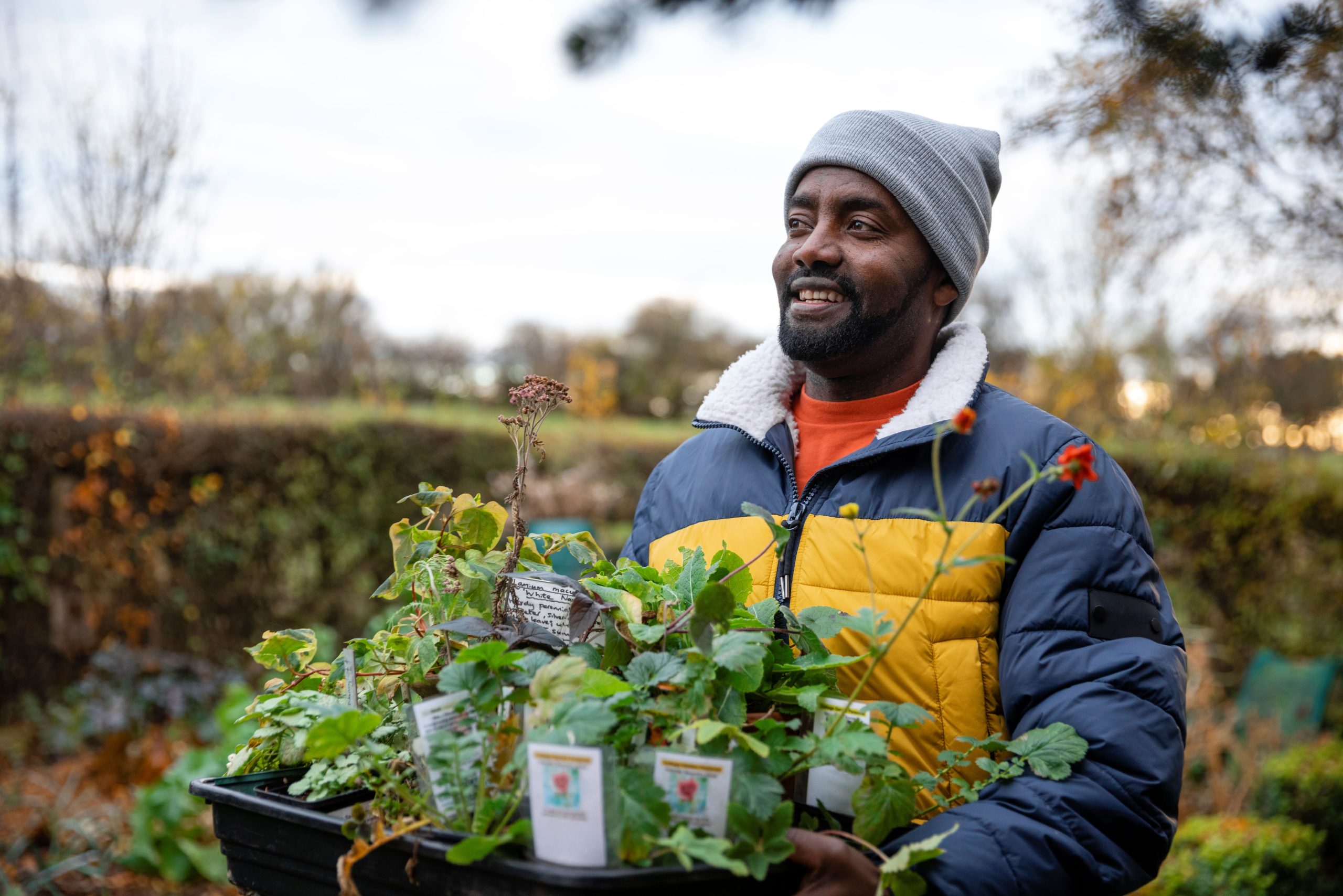 Man carrying tray of plants